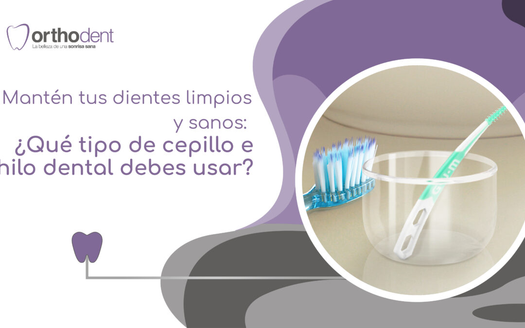 Mantén tus dientes limpios y sanos: ¿Qué tipo de cepillo y hilo dental debes usar?